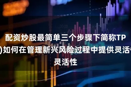 配资炒股最简单三个步骤下简称TPA)如何在管理新兴风险过程中提供灵活性