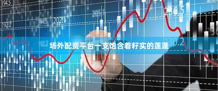 场外配资平台一支饱含着籽实的莲蓬