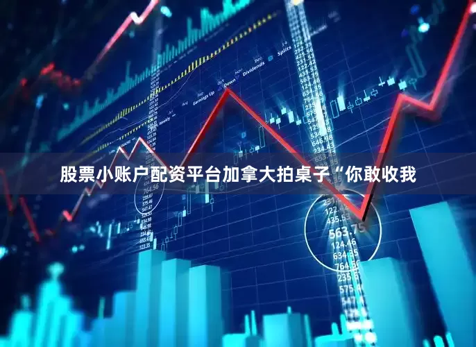 股票小账户配资平台加拿大拍桌子“你敢收我