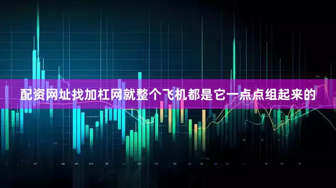 配资网址找加杠网就整个飞机都是它一点点组起来的